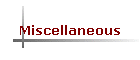 Miscellaneous
